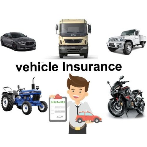 Motor Insurance